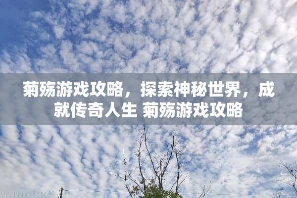 菊殇游戏攻略，探索神秘世界，成就传奇人生 菊殇游戏攻略