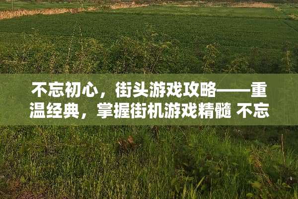 不忘初心，街头游戏攻略——重温经典，掌握街机游戏精髓 不忘初心街头游戏攻略