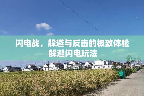 闪电战，躲避与反击的极致体验 躲避闪电玩法