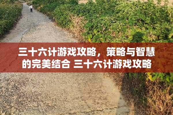 三十六计游戏攻略，策略与智慧的完美结合 三十六计游戏攻略
