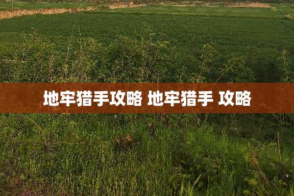 地牢猎手攻略 地牢猎手 攻略