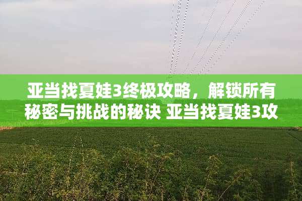 亚当找夏娃3终极攻略，解锁所有秘密与挑战的秘诀 亚当找夏娃3攻略