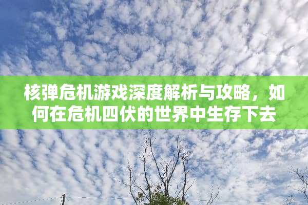 **危机游戏深度解析与攻略，如何在危机四伏的世界中生存下去？ **危机游戏回忆攻略