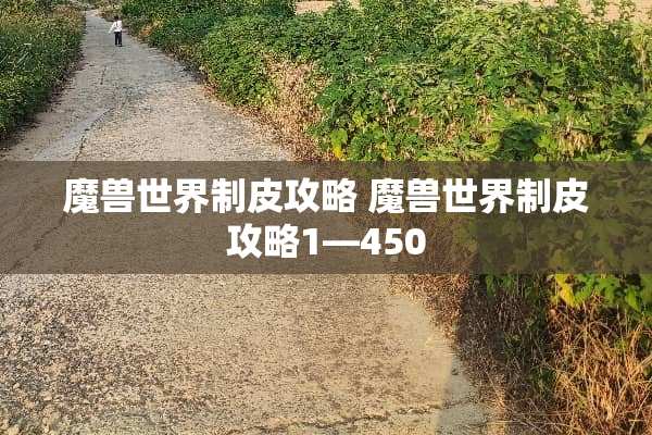 魔兽世界制皮攻略 魔兽世界制皮攻略1—450