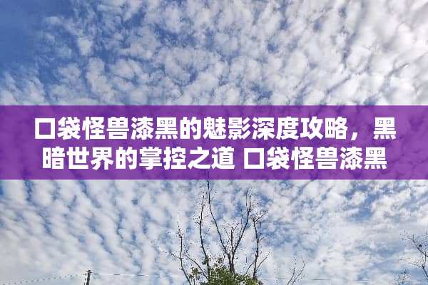 口袋怪兽漆黑的魅影深度攻略，黑暗世界的掌控之道 口袋怪兽漆黑的魅影攻略