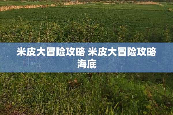 米皮大冒险攻略 米皮大冒险攻略海底