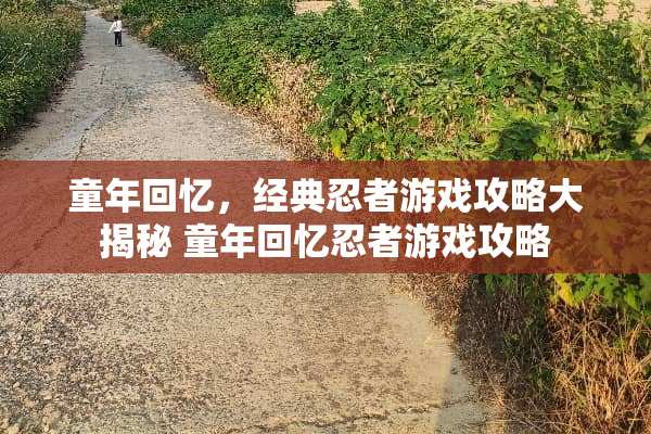 童年回忆，经典忍者游戏攻略大揭秘 童年回忆忍者游戏攻略