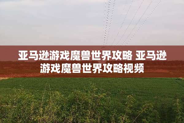 亚马逊游戏魔兽世界攻略 亚马逊游戏魔兽世界攻略视频