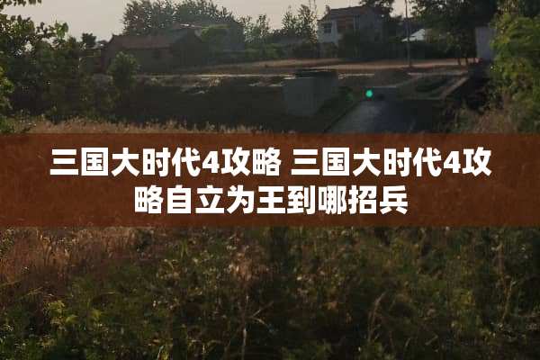 三国大时代4攻略 三国大时代4攻略自立为王到哪招兵