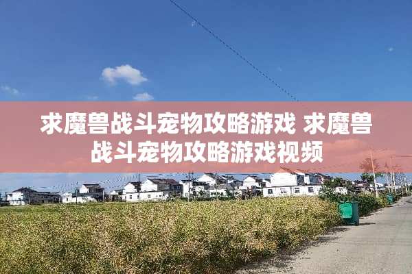 求魔兽战斗宠物攻略游戏 求魔兽战斗宠物攻略游戏视频