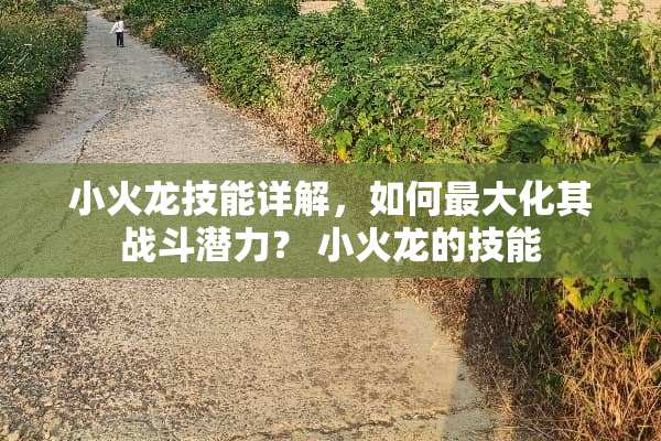小火龙技能详解，如何最大化其战斗潜力？ 小火龙的技能