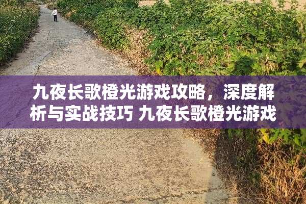 九夜长歌橙光游戏攻略，深度解析与实战技巧 九夜长歌橙光游戏攻略