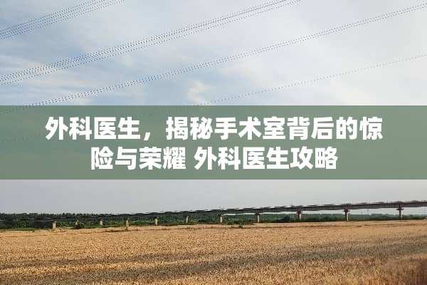 外科医生，揭秘手术室背后的惊险与荣耀 外科医生攻略