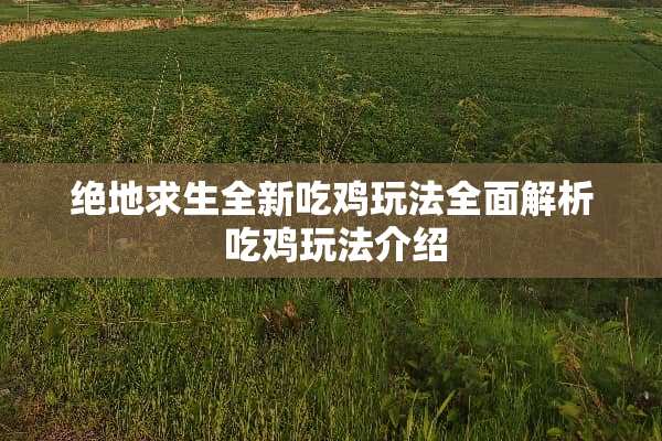 绝地求生全新吃鸡玩法全面解析 吃鸡玩法介绍