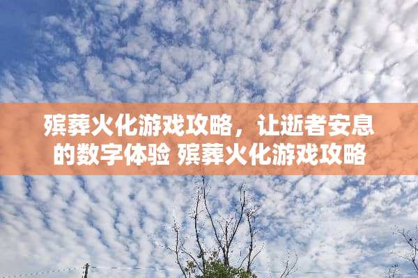 殡葬火化游戏攻略，让逝者安息的数字体验 殡葬火化游戏攻略