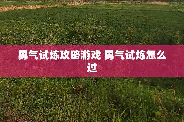 勇气试炼攻略游戏 勇气试炼怎么过