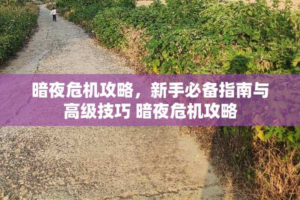 暗夜危机攻略，新手必备指南与高级技巧 暗夜危机攻略