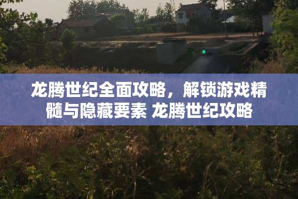 龙腾世纪全面攻略，解锁游戏精髓与隐藏要素 龙腾世纪攻略