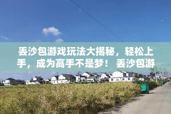 丢沙包游戏玩法大揭秘，轻松上手，成为高手不是梦！ 丢沙包游戏玩法