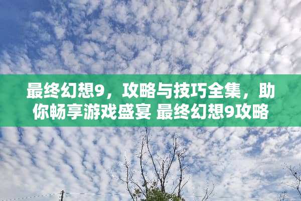 最终幻想9，攻略与技巧全集，助你畅享游戏盛宴 最终幻想9攻略游戏
