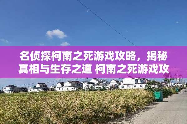 名侦探柯南之死游戏攻略，揭秘**与生存之道 柯南之死游戏攻略图文