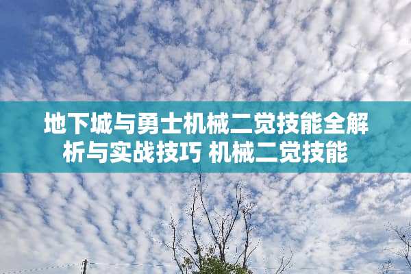 **城与勇士机械二觉技能全解析与实战技巧 机械二觉技能