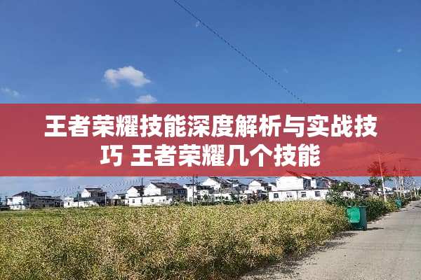 王者荣耀技能深度解析与实战技巧 王者荣耀几个技能