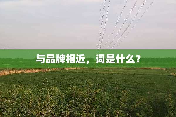 与品牌相近，词是什么？