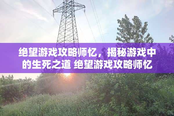 绝望游戏攻略师忆，揭秘游戏中的生死之道 绝望游戏攻略师忆
