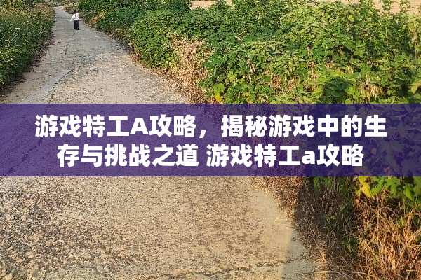 游戏特工A攻略，揭秘游戏中的生存与挑战之道 游戏特工a攻略