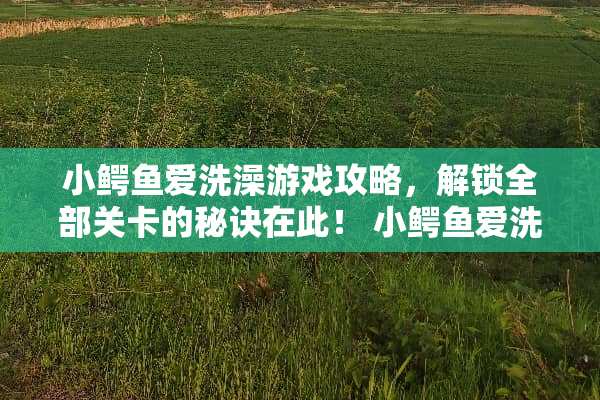 小鳄鱼爱洗澡游戏攻略，解锁全部关卡的秘诀在此！ 小鳄鱼爱洗澡游戏攻略