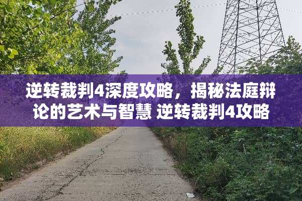逆转裁判4深度攻略，揭秘法庭辩论的艺术与智慧 逆转裁判4攻略