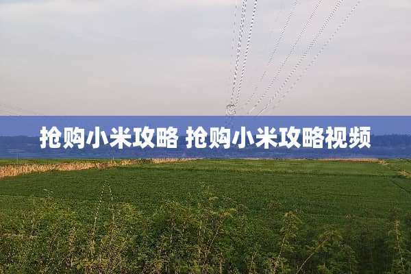抢购小米攻略 抢购小米攻略视频