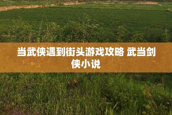 当武侠遇到街头游戏攻略 武当剑侠小说