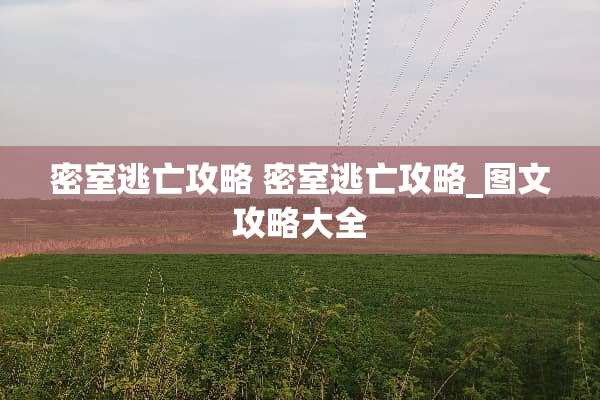 密室逃亡攻略 密室逃亡攻略_图文攻略大全