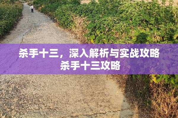 **十三，深入解析与实战攻略 **十三攻略