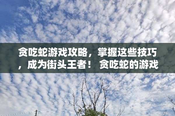 贪吃蛇游戏攻略，掌握这些技巧，成为街头王者！ 贪吃蛇的游戏攻略