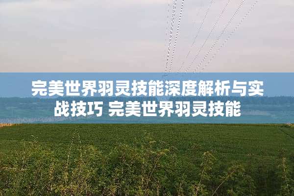完美世界羽灵技能深度解析与实战技巧 完美世界羽灵技能
