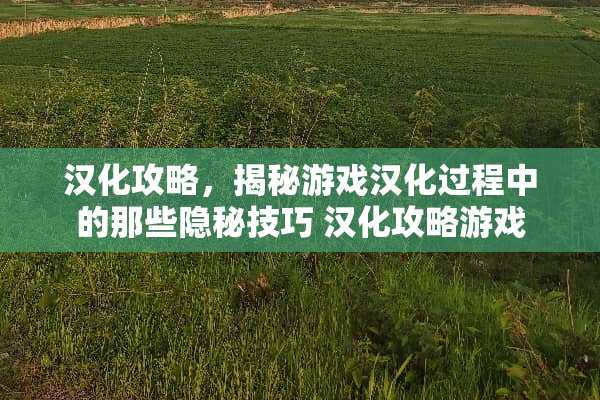 汉化攻略，揭秘游戏汉化过程中的那些隐秘技巧 汉化攻略游戏