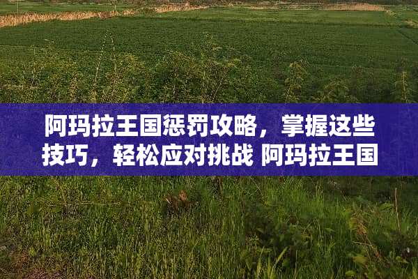 阿玛拉王国惩罚攻略，掌握这些技巧，轻松应对挑战 阿玛拉王国惩罚攻略