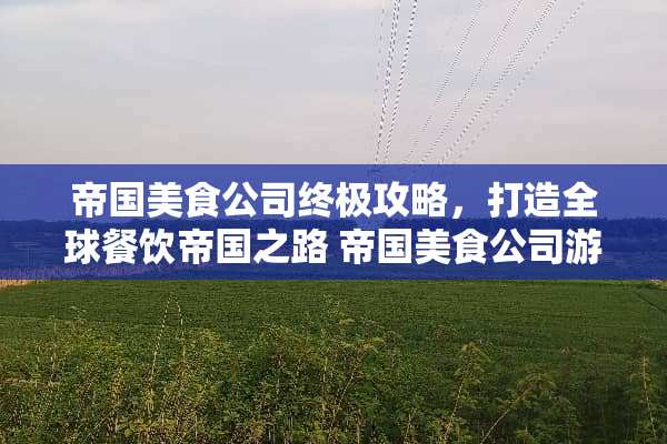 帝国美食公司终极攻略，打造全球餐饮帝国之路 帝国美食公司游戏攻略