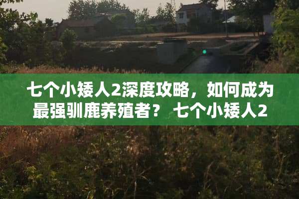 七个小矮人2深度攻略，如何成为最强驯鹿养殖者？ 七个小矮人2攻略