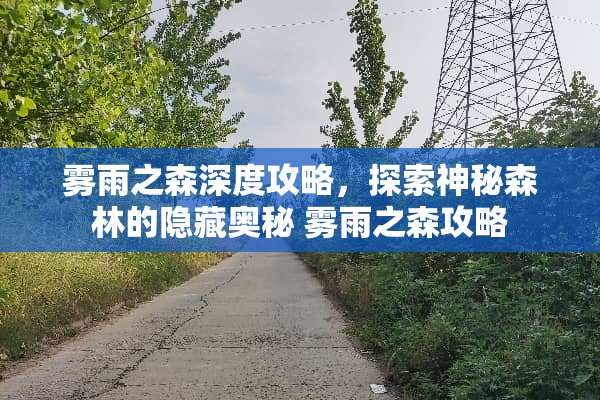 雾雨之森深度攻略，探索神秘森林的隐藏奥秘 雾雨之森攻略