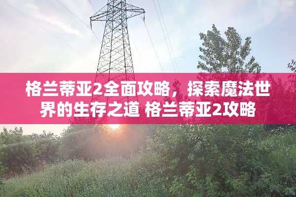 格兰蒂亚2全面攻略，探索魔法世界的生存之道 格兰蒂亚2攻略