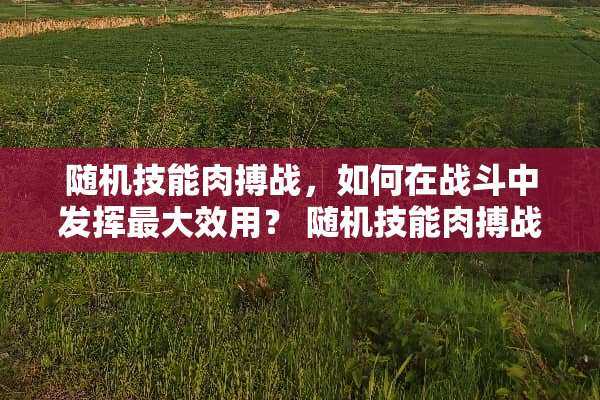 随机技能肉搏战，如何在战斗中发挥最大效用？ 随机技能肉搏战