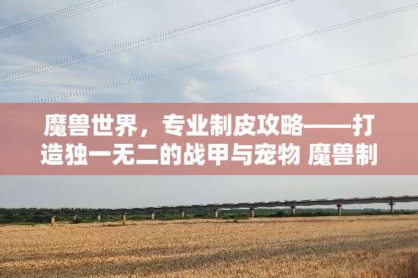 魔兽世界，专业制皮攻略——打造独一无二的战甲与宠物 魔兽制皮攻略