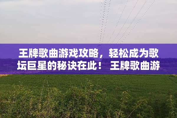 王牌歌曲游戏攻略，轻松成为歌坛巨星的秘诀在此！ 王牌歌曲游戏攻略