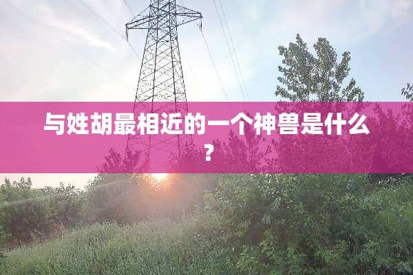 与姓胡最相近的一个神兽是什么？