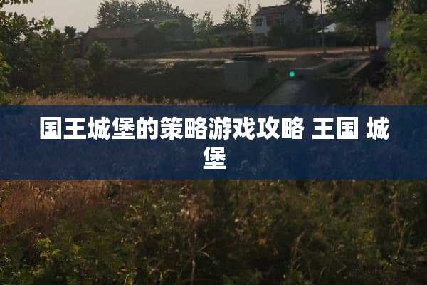 国王城堡的策略游戏攻略 王国 城堡