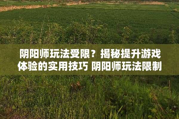 *阳师玩法受限？揭秘提升游戏体验的实用技巧 *阳师玩法限制